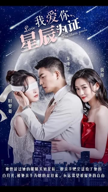 我爱你,星辰为证 - 女频恋爱 (2024) 海报