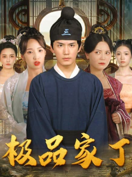 新极品家丁 - 年代穿越 (2024) 海报