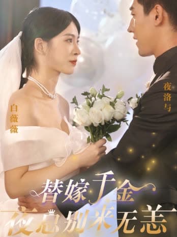 替嫁千金夜总别来无恙 - 女频恋爱 (2024) 海报