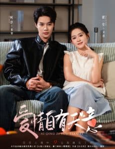 爱情自有天意 - 女频恋爱 (2024) 海报