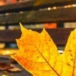 泪成河,唤母归 - 现代都市 (2024) 海报