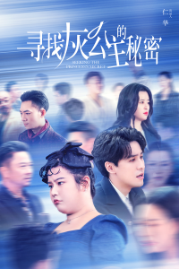 寻找灰公主的秘密 - 现代都市 (2024) 海报