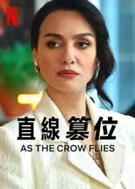 直线篡位 - 欧美剧 (2022) 海报