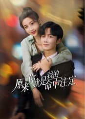 原来你就是我的命中注定 - 国产剧 (2024) 海报