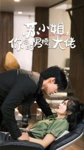 苏小姐你包的男模是大佬＆爱在夜幕降至时 - 女频恋爱 (2024) 海报