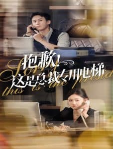 抱歉这是总裁专用电梯 - 女频恋爱 (2024) 海报