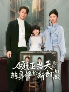 领证当天转身嫁给新娘叔叔 - 女频恋爱 (2024) 海报