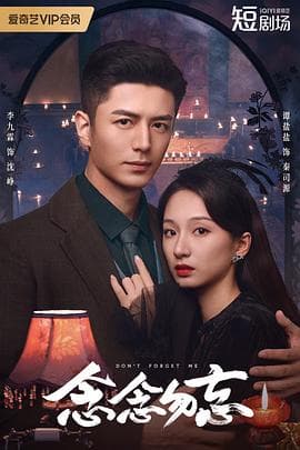 念念勿忘 - 国产剧 (2024) 海报