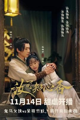 汝可知心否 - 国产剧 (2024) 海报