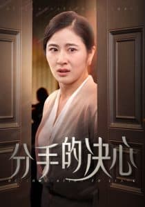 分手的决心短剧 - 现代都市 (2024) 海报