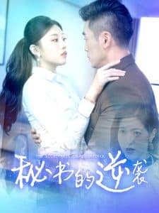 秘书的逆袭 - 现代都市 (2024) 海报