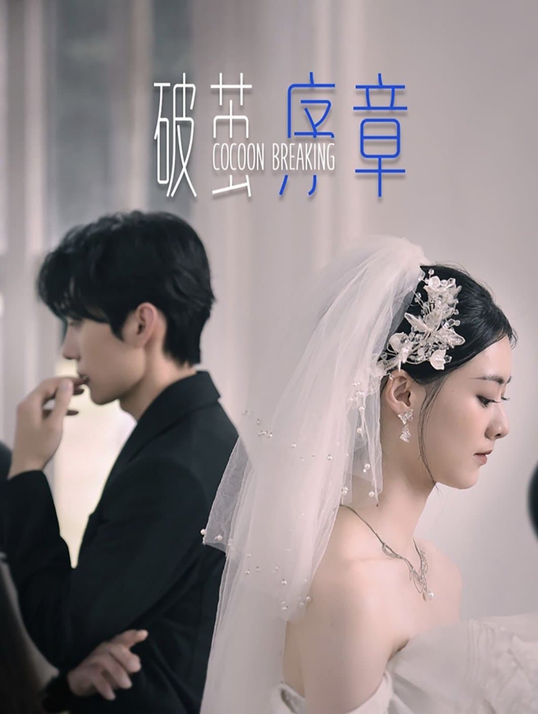 破茧序章 - 现代都市 (2024) 海报