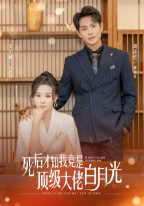 死后才知我是顶级大佬的白月光 - 女频恋爱 (2024) 海报