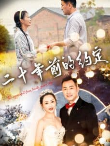 二十年前的约定 - 现代都市 (2024) 海报