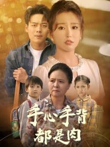 手心手背都是肉 - 现代都市 (2024) 海报