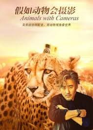 假如动物会摄影 - 纪录片 (2018) 海报