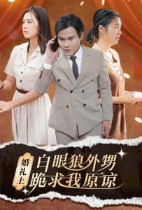 婚礼上白眼狼外甥跪求我原谅 - 反转爽剧 (2024) 海报