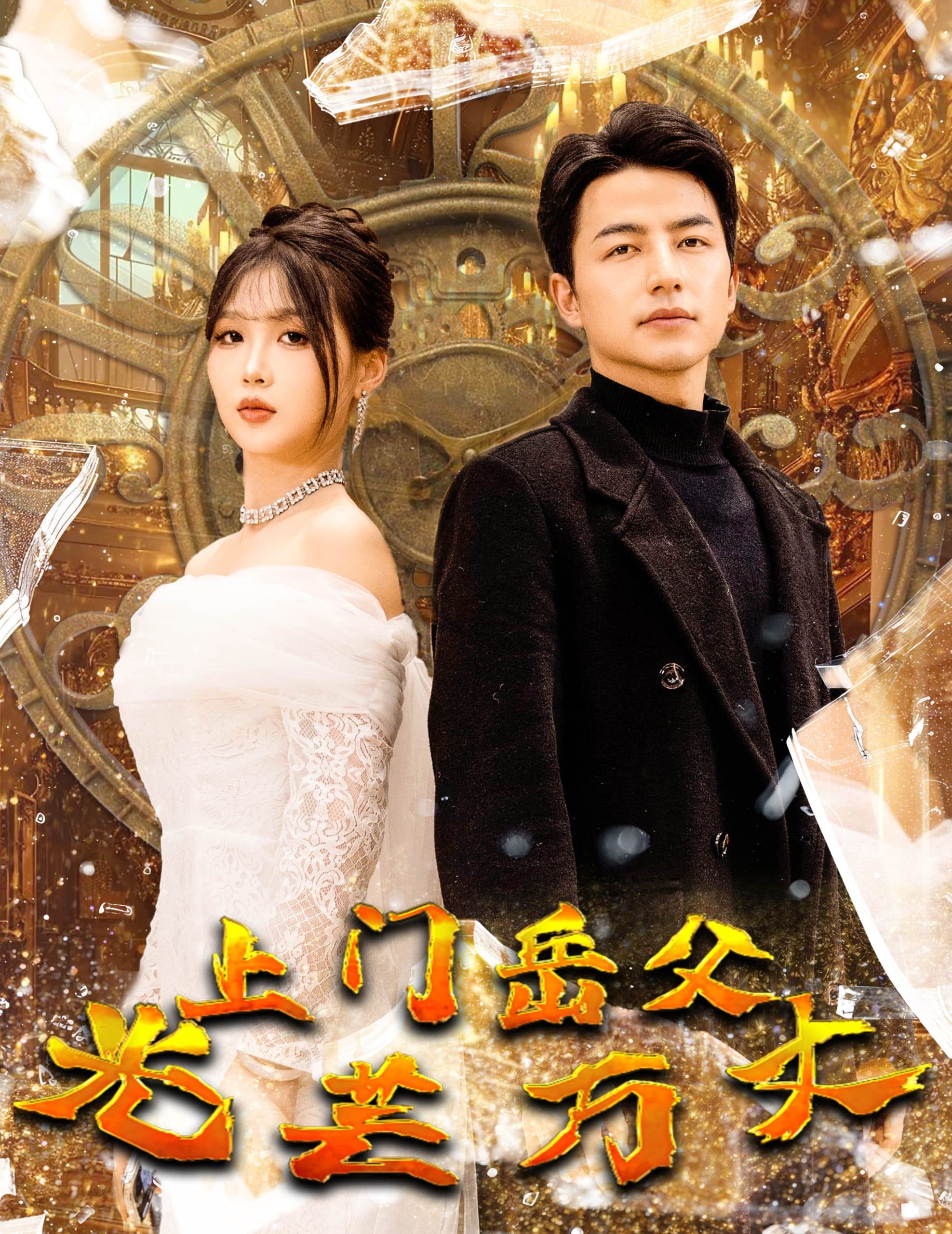 上门岳父光芒万丈 - 现代都市 (2024) 海报