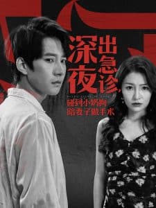 深夜出急诊碰到小奶狗陪妻子做手术 - 反转爽剧 (2024) 海报