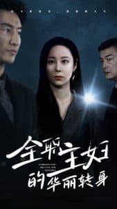 全职主妇的华丽转身 - 现代都市 (2024) 海报