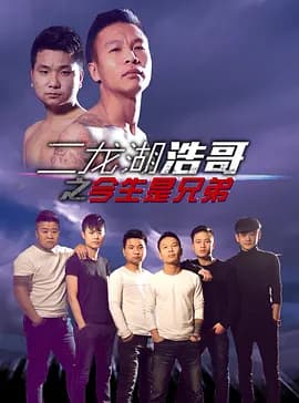 二龙湖浩哥之今生是兄弟 - 喜剧片 (2014) 海报