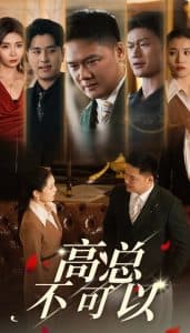 高总不可以 - 女频恋爱 (2024) 海报