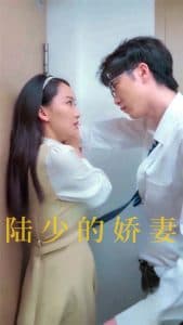 陆少的娇妻 - 女频恋爱 (2024) 海报