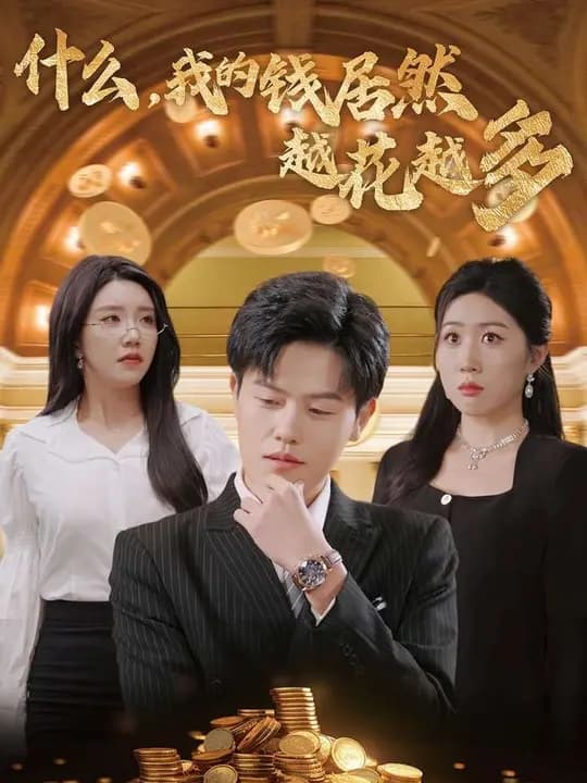 什么我的钱居然越花越多 - 脑洞悬疑 (2024) 海报