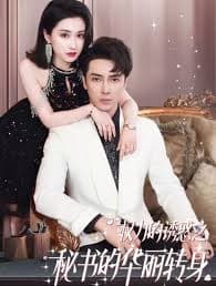 权利的诱惑之秘书的华丽转身 - 女频恋爱 (2024) 海报