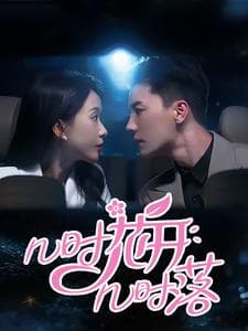 几时花开几时落 - 现代都市 (2024) 海报