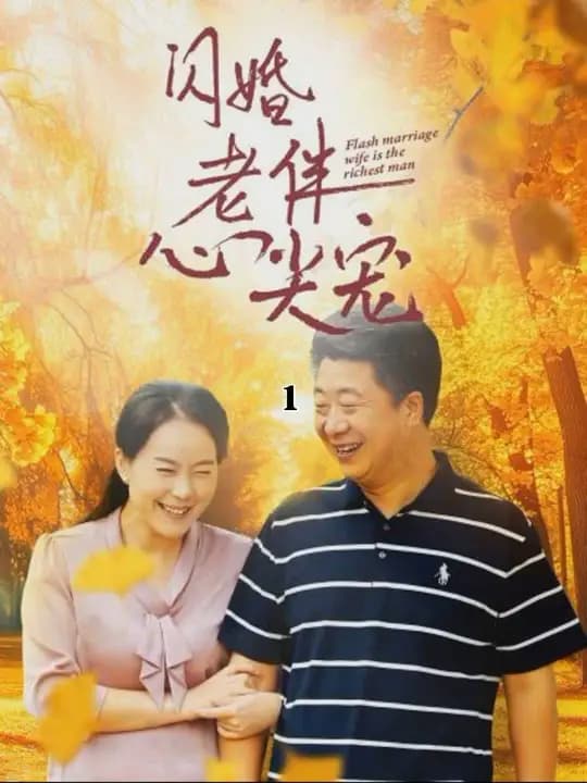 再回首闪婚之仍是心尖宠 - 现代都市 (2024) 海报