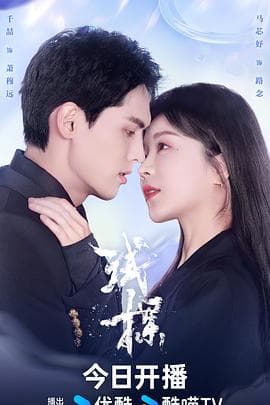 试探 - 国产剧 (2024) 海报