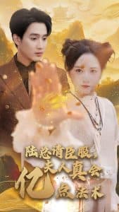 陆总请臣服夫人真会亿点法术 - 女频恋爱 (2024) 海报