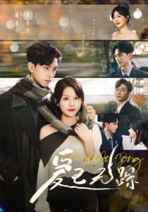 爱已无踪 - 女频恋爱 (2024) 海报