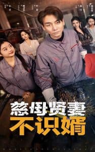 慈母贤妻不识婿 - 现代都市 (2024) 海报