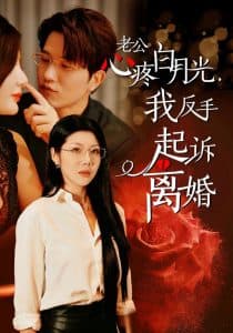 老公疼白月光我反手起诉离 - 反转爽剧 (2024) 海报