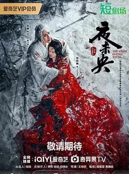 夜未央2024 - 国产剧 (2024) 海报