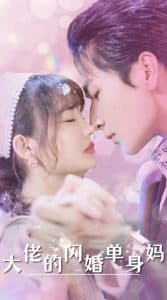 大佬的闪婚单身妈 - 现代都市 (2024) 海报