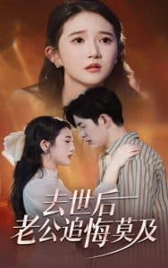 去世后老公追悔莫及 - 现代都市 (2024) 海报