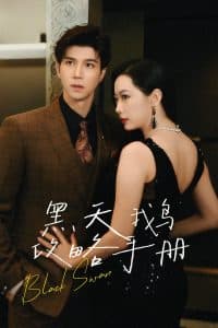 黑天鹅攻略手册 - 反转爽剧 (2024) 海报