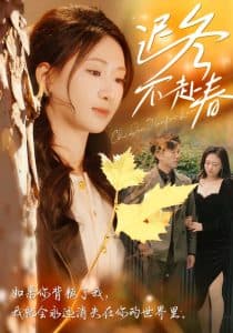 迟冬不赴春 - 现代都市 (2024) 海报