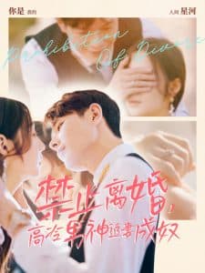 禁止离婚，高冷男神追妻成奴 - 女频恋爱 (2024) 海报