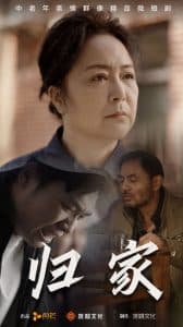 归家短剧 - 现代都市 (2024) 海报