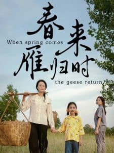 春来雁归时 - 现代都市 (2024) 海报