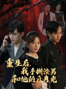 重生后我手撕渣男和他的白月光 - 反转爽剧 (2024) 海报