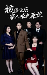 被误会后家人求我原谅 - 反转爽剧 (2024) 海报