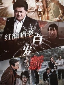 红颜暗老白发新 - 现代都市 (2024) 海报