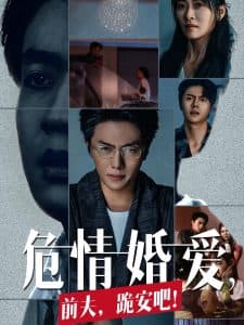 危情婚爱前夫跪安吧 - 女频恋爱 (2024) 海报