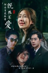 既然不爱何必负我痴情 - 现代都市 (2024) 海报