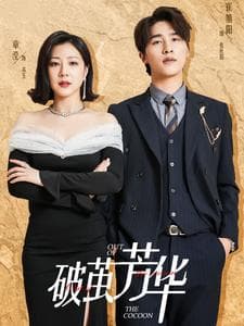 破茧芳华 - 女频恋爱 (2024) 海报